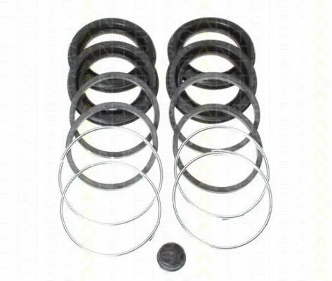 Repair Kit, brake caliper (8170 204341)