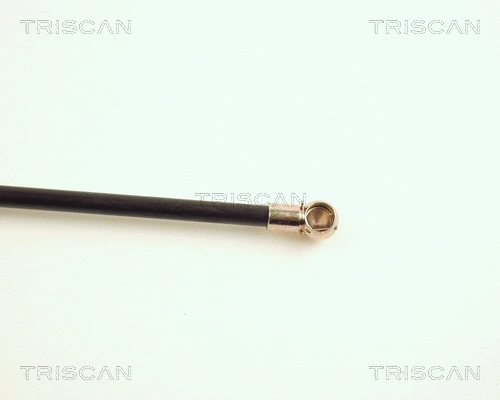 Gas Spring, boot/cargo area