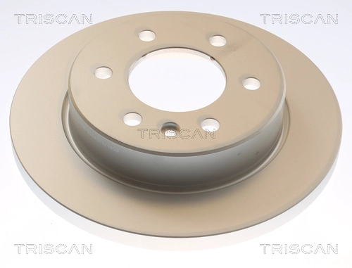 Brake Disc (8120 231063C)