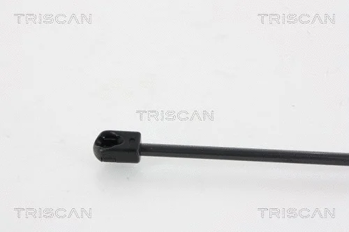 Gas Spring, boot/cargo area