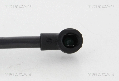 Gas Spring, boot/cargo area