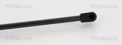 Gas Spring, boot/cargo area