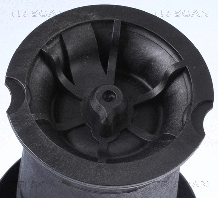 Air Spring, suspension