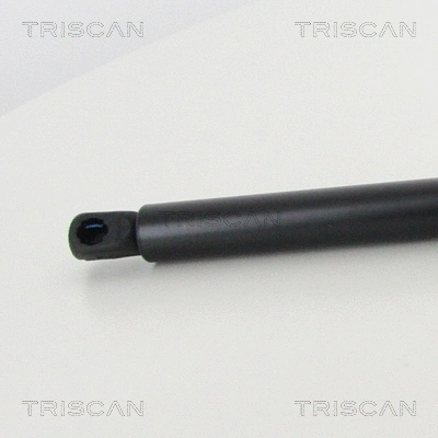 Gas Spring, boot/cargo area