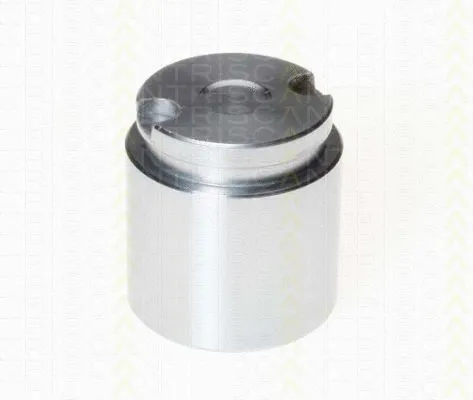 Piston, brake caliper (8170 233858)