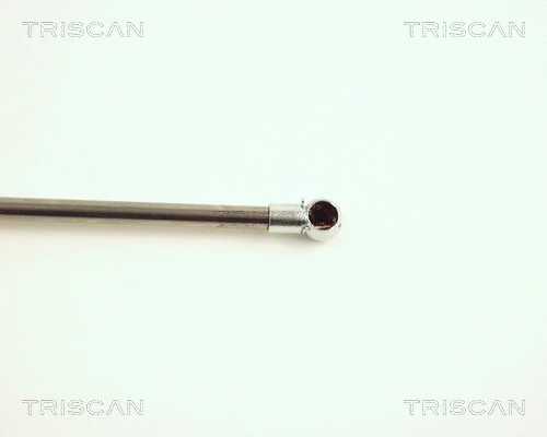 Gas Spring, boot/cargo area