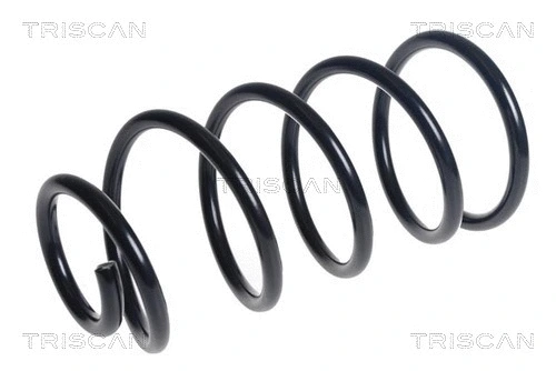 Suspension Spring (8750 16137)