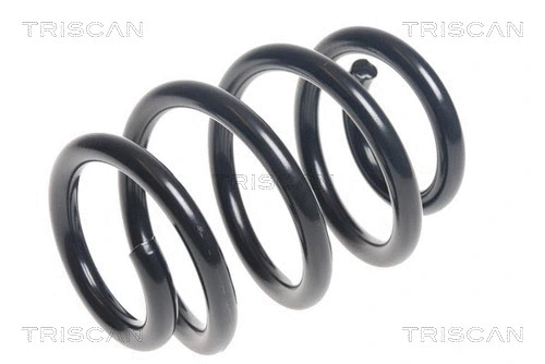 Suspension Spring (8750 23193)