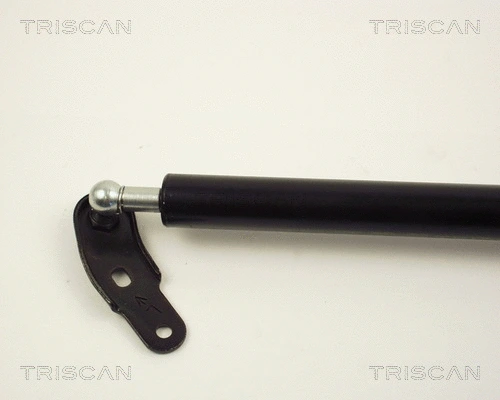 Gas Spring, boot/cargo area