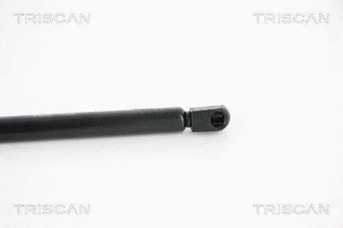 Gas Spring, boot/cargo area