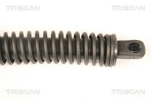 Gas Spring, boot/cargo area