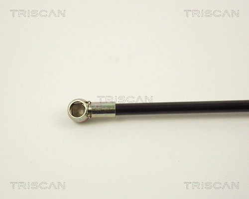 Gas Spring, boot/cargo area