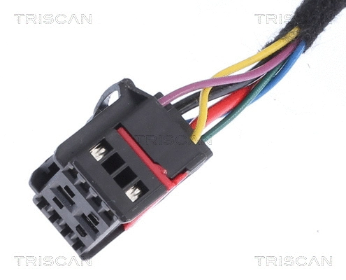 Gas Spring, boot/cargo area