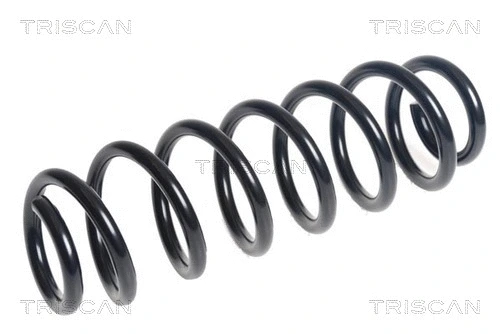 Suspension Spring (8750 29467)