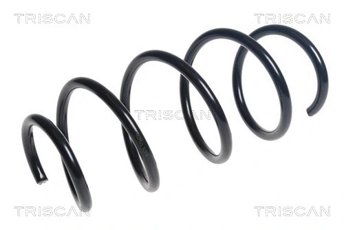 Suspension Spring (8750 24202)