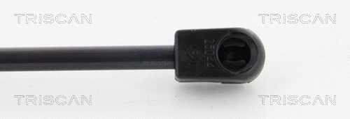 Gas Spring, boot/cargo area