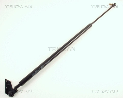 Gas Spring, boot/cargo area (8710 50201)