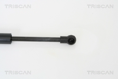 Gas Spring, boot/cargo area