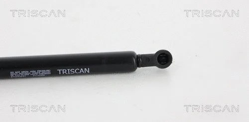Gas Spring, boot/cargo area