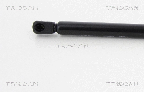 Gas Spring, boot/cargo area