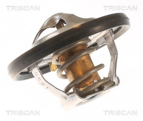 Thermostat, coolant (8620 48281)