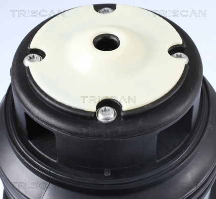 Air Spring, suspension