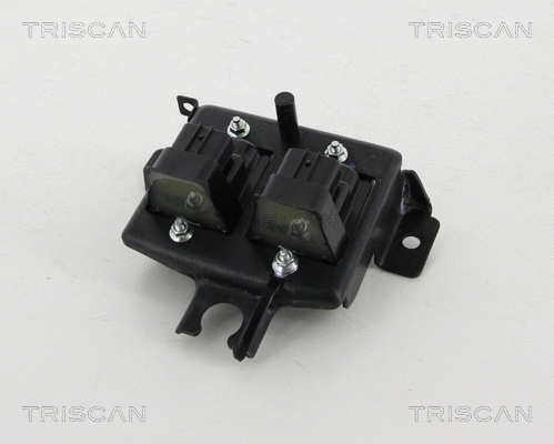 Ignition Coil (8860 50019)