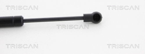 Gas Spring, boot/cargo area