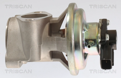 EGR Valve (8813 42003)
