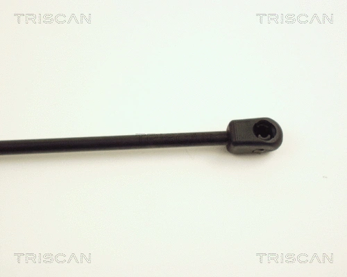 Gas Spring, boot/cargo area