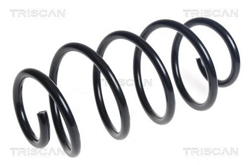 Suspension Spring (8750 16147)