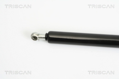 Gas Spring, boot/cargo area