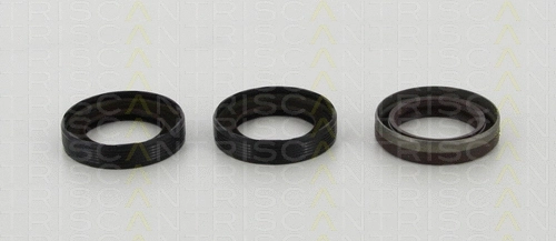 Shaft Seal Set, engine (8550 10059)