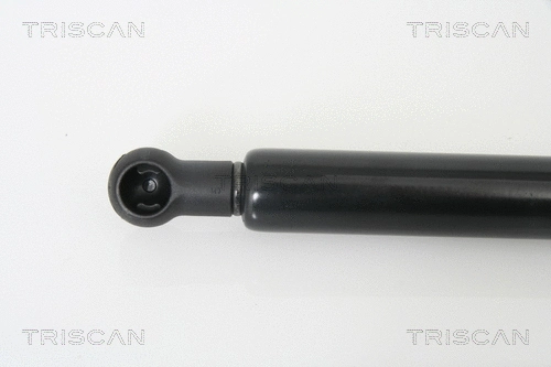 Gas Spring, boot/cargo area