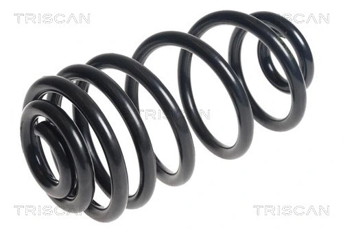 Suspension Spring (8750 24187)
