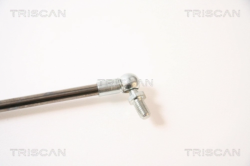 Gas Spring, boot/cargo area