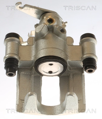 Brake Caliper (8175 14203)