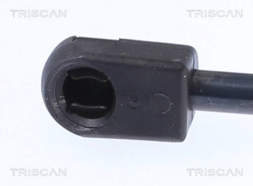 Gas Spring, boot/cargo area