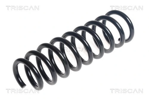 Suspension Spring (8750 43138)