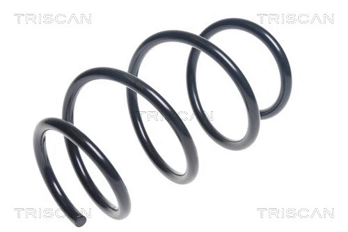 Suspension Spring (8750 23184)