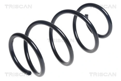 Suspension Spring (8750 11193)