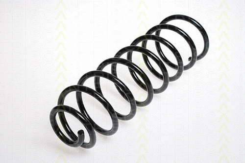 Suspension Spring (8750 6519)