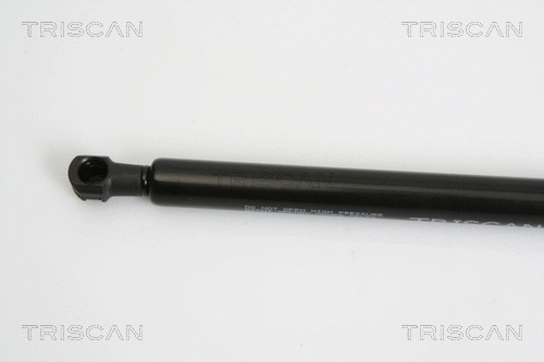 Gas Spring, boot/cargo area