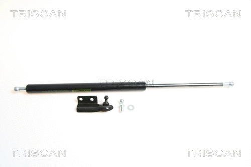 Gas Spring, boot/cargo area (8710 42227)