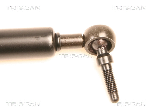 Gas Spring, boot/cargo area