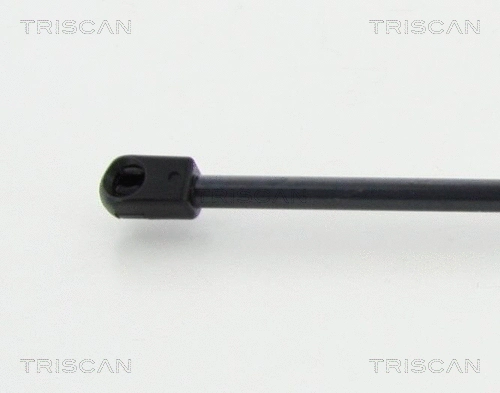 Gas Spring, boot/cargo area (8710 70201)