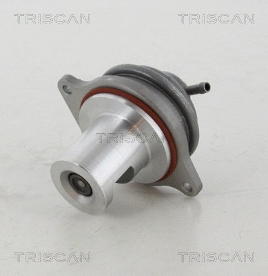 EGR Valve (8813 23207)