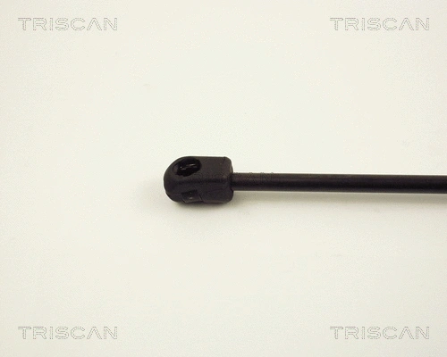 Gas Spring, boot/cargo area
