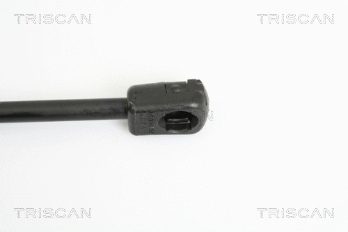 Gas Spring, boot/cargo area