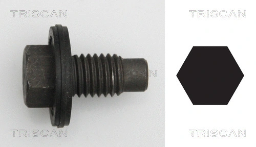 Screw Plug, oil sump (9500 1017)